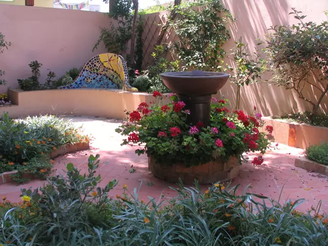 תיכנון והקמה גינה יפואית 2